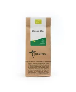 Masala Chai BIO