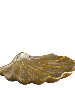 Alternative view of Plato de concha